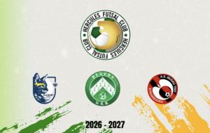 Le calendrier de la D1 en détail