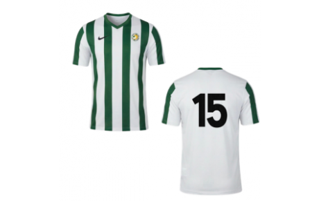 Le maillot des 15 ans