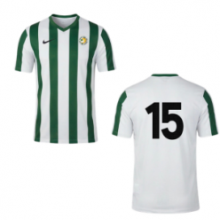Le maillot des 15 ans