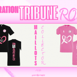 TRIBUNE ROSE